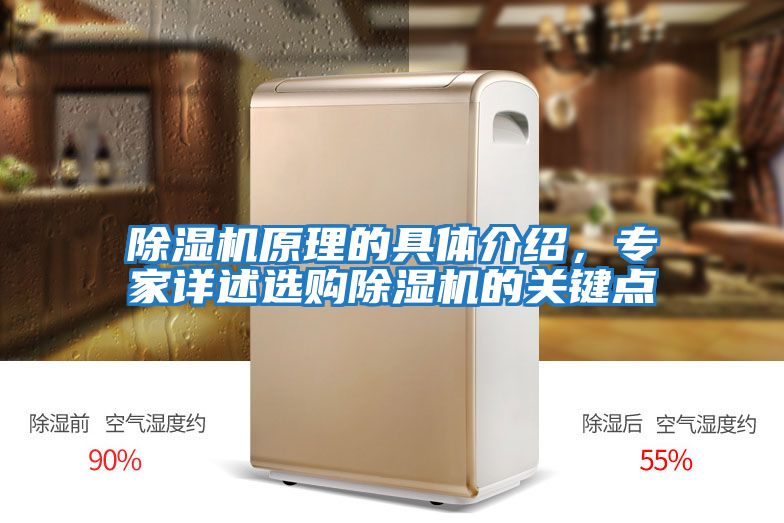 除濕機原理的具體介紹，專家詳述選購除濕機的關鍵點