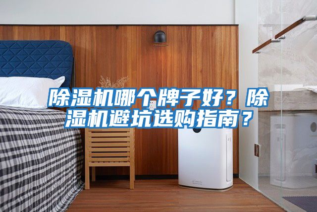 除濕機哪個牌子好？除濕機避坑選購指南？