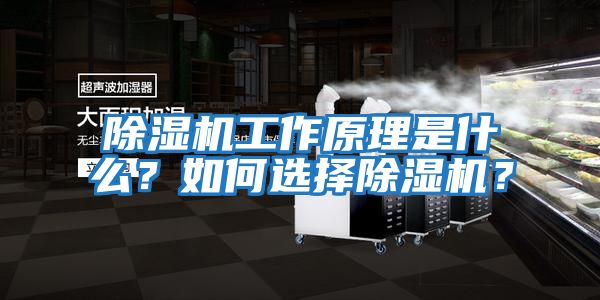 除濕機工作原理是什么？如何選擇除濕機？