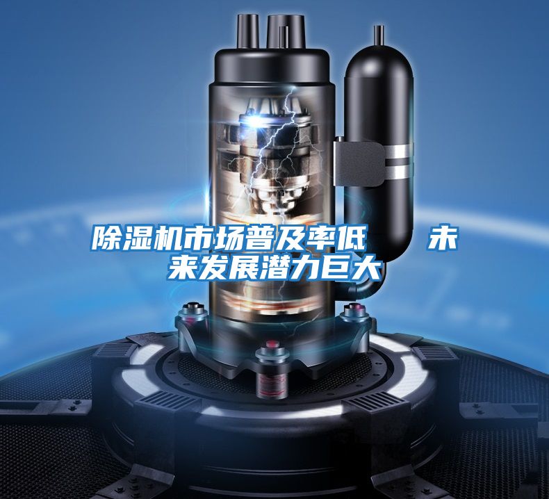 除濕機(jī)市場(chǎng)普及率低   未來發(fā)展?jié)摿薮?></div>
								<div   id=
