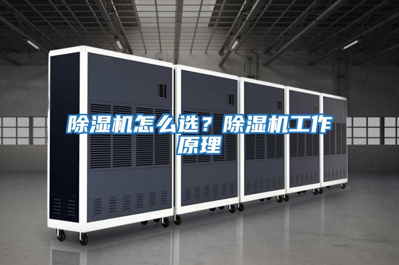 除濕機怎么選？除濕機工作原理