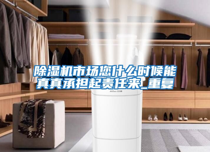 除濕機(jī)市場(chǎng)您什么時(shí)候能真真承擔(dān)起責(zé)任來_重復(fù)