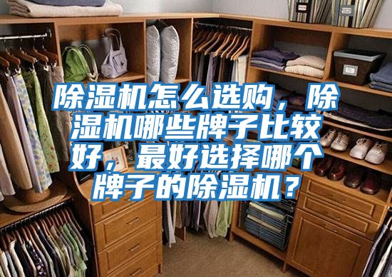 除濕機怎么選購，除濕機哪些牌子比較好，最好選擇哪個牌子的除濕機？