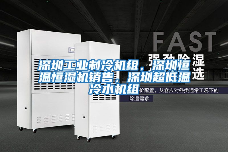 深圳工業制冷機組，深圳恒溫恒濕機銷售，深圳超低溫冷水機組