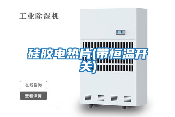 硅膠電熱片(帶恒溫開關)