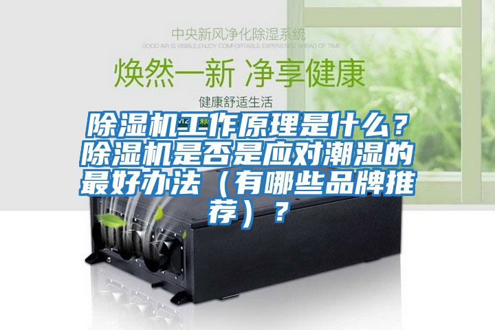 除濕機工作原理是什么？除濕機是否是應對潮濕的最好辦法（有哪些品牌推薦）？