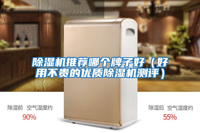 除濕機推薦哪個牌子好（好用不貴的優(yōu)質(zhì)除濕機測評）