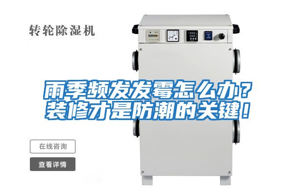 雨季頻發發霉怎么辦？裝修才是防潮的關鍵！