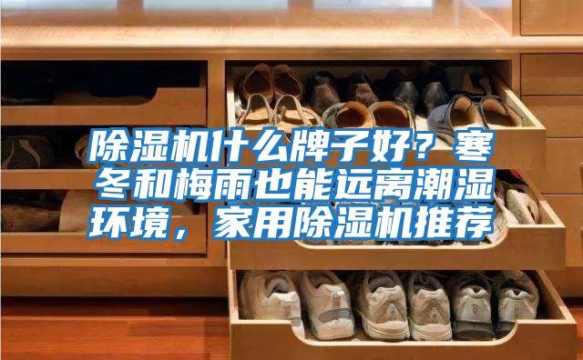 除濕機什么牌子好？寒冬和梅雨也能遠離潮濕環(huán)境，家用除濕機推薦