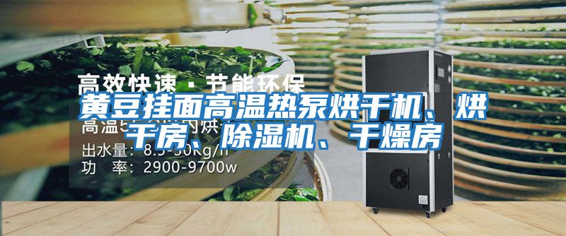 黃豆掛面高溫熱泵烘干機、烘干房、除濕機、干燥房