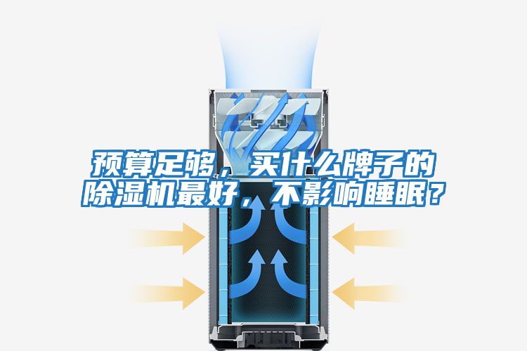 預算足夠，買什么牌子的除濕機最好，不影響睡眠？