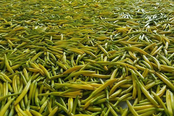 無硫金針菜烘干如何保持品相？不發黑？_除濕機廠家