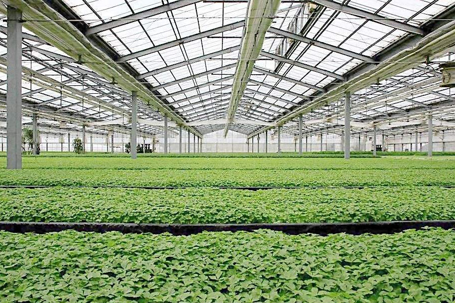 除濕器如何解決高濕度、多種危害的溫室除濕問題？